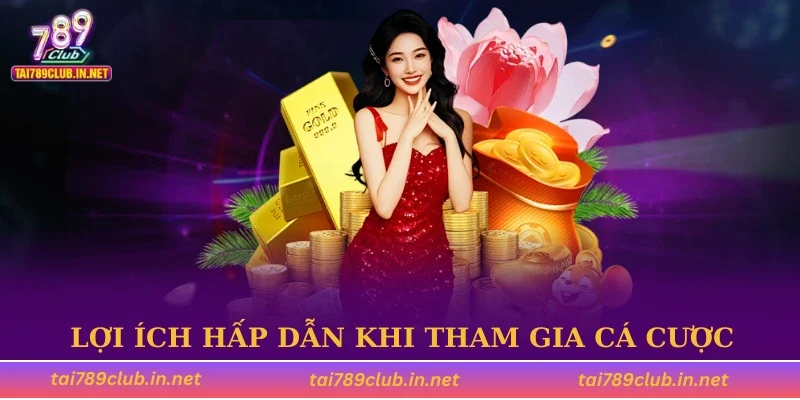 Lợi ích hấp dẫn khi tham gia cá cược