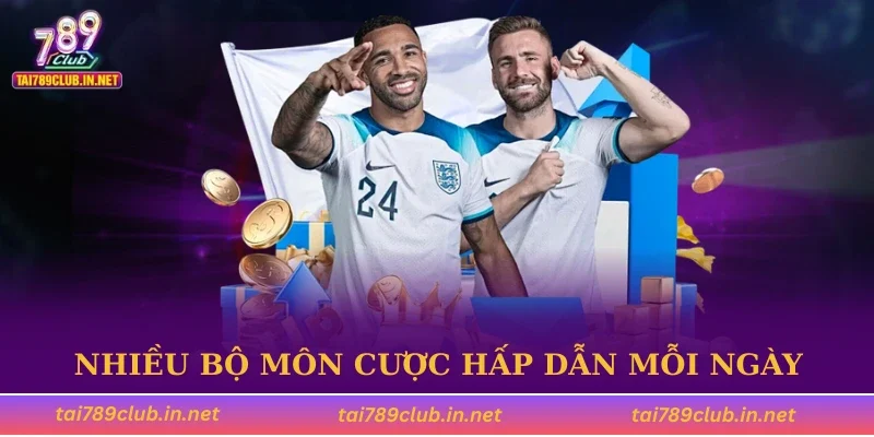 Nhiều bộ môn cược hấp dẫn mỗi ngày