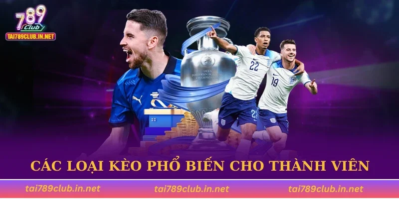 Các loại kèo phổ biến cho thành viên